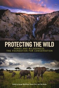 bokomslag Protecting the Wild