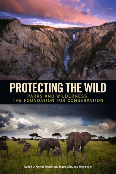 George Wuerthner, Eileen Crist, George Wuerthner, Eileen Crist, Tom Butler - Protecting the Wild, Häftad