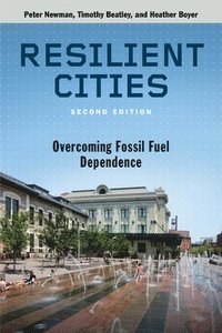 bokomslag Resilient Cities