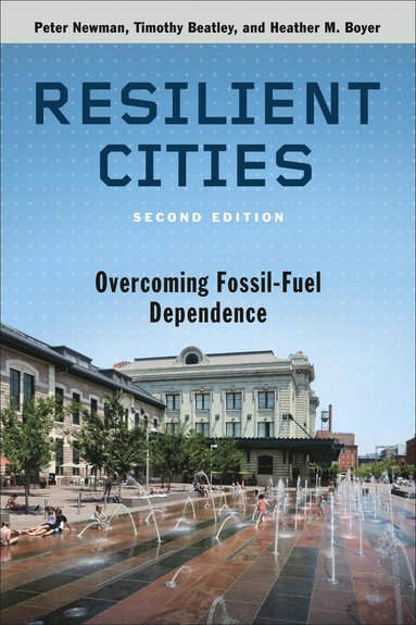 bokomslag Resilient Cities