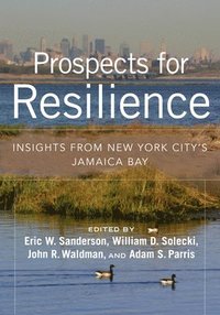 bokomslag Prospects for Resilience
