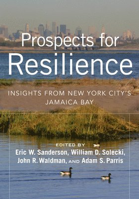 bokomslag Prospects for Resilience