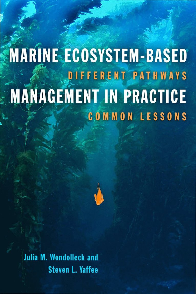 Marine Ecosystem-Based Management in Practice