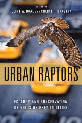 bokomslag Urban Raptors