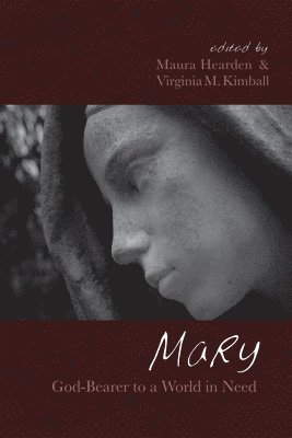 bokomslag Mary, God-Bearer to a World in Need