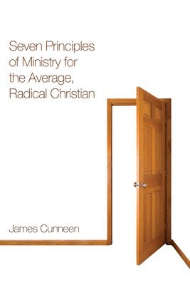 bokomslag Seven Principles of Ministry for the Average, Radical Christian