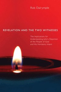 bokomslag Revelation and the Two Witnesses