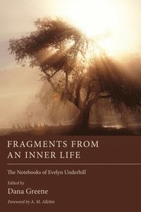bokomslag Fragments from an Inner Life