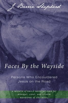 bokomslag Faces by the Wayside--Persons Who Encountered Jesus on the Road: A Month of Daily Meditations for Advent, Lent, and Other Seasons of the Soul