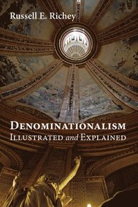 bokomslag Denominationalism Illustrated and Explained