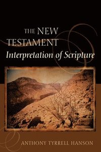 bokomslag New Testament Interpretation of Scripture