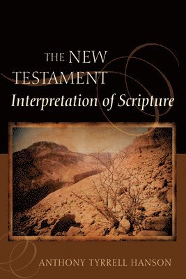 bokomslag New Testament Interpretation of Scripture