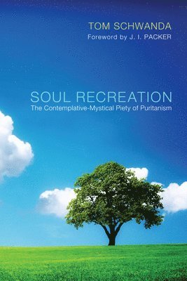 bokomslag Soul Recreation