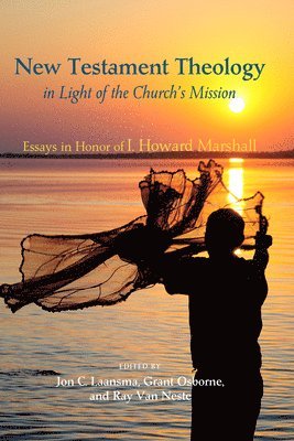 Jon C Laansma, Grant Osborne, Ray Van Neste - New Testament Theology in Light of the Church's Mission, Häftad