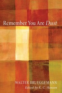 bokomslag Remember You Are Dust