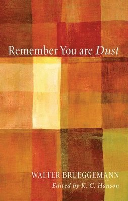 bokomslag Remember You Are Dust