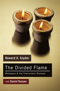 bokomslag The Divided Flame
