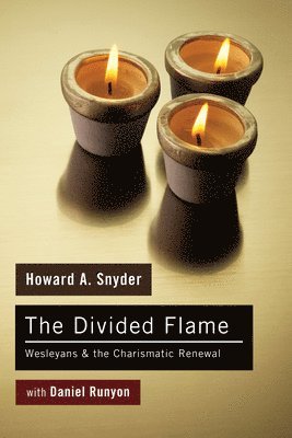 Howard A Snyder, Daniel Runyon, Howard A. Snyder - Divided Flame, Häftad
