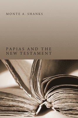 bokomslag Papias and the New Testament