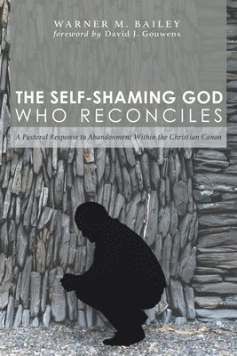 Warner M. Bailey - Self-Shaming God Who Reconciles, Häftad