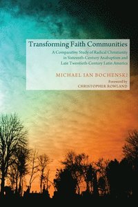 bokomslag Transforming Faith Communities