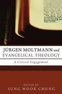 bokomslag Jurgen Moltmann and Evangelical Theology