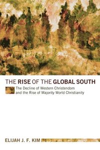 bokomslag The Rise of the Global South