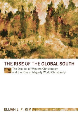 bokomslag The Rise of the Global South