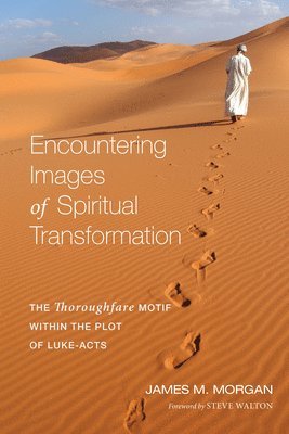 James M. Morgan - Encountering Images of Spiritual Transformation, Häftad