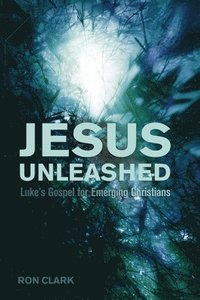 bokomslag Jesus Unleashed