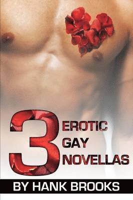 3 Erotic Gay Novellas 1