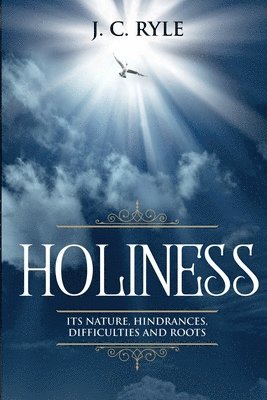 bokomslag Holiness