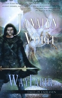 bokomslag Wayfarer