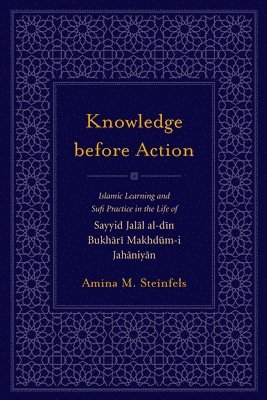 bokomslag Knowledge before Action