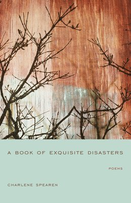 Book of Exquisite Disasters 1