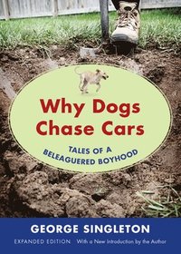 bokomslag Why Dogs Chase Cars