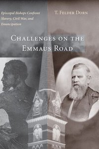 bokomslag Challenges on the Emmaus Road