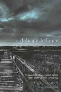 bokomslag A Delicate Balance