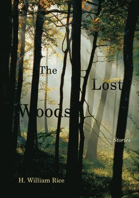 The Lost Woods 1