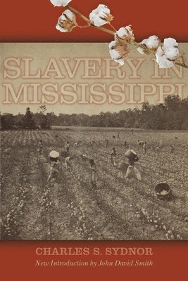 bokomslag Slavery in Mississippi