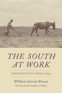 bokomslag The South at Work