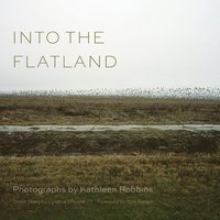 bokomslag Into the Flatland