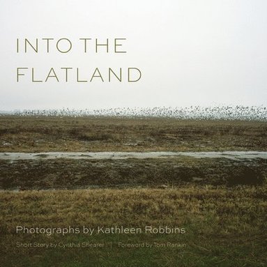 bokomslag Into the Flatland