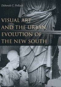 bokomslag Visual Art and the Urban Evolution of the New South