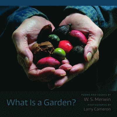 What Is a Garden? 1