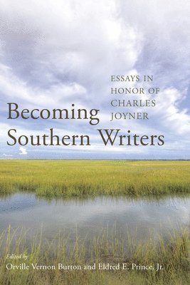 bokomslag Becoming Southern Writers