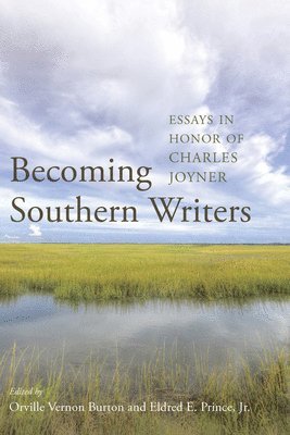 bokomslag Becoming Southern Writers