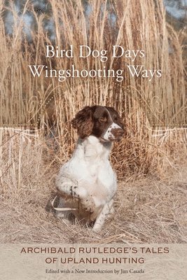 bokomslag Bird Dog Days, Wingshooting Ways