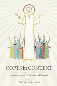 bokomslag Copts in Context