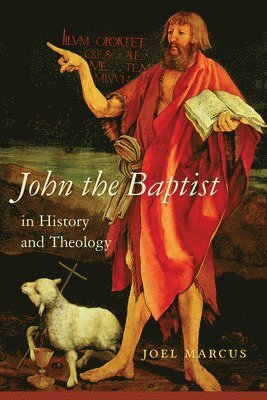 bokomslag John the Baptist in History and Theology